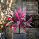2Pcs Large Artificial Boston Fern & Dragon’s Blood Tree Plants