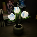 LED Tulip Night Light Flower Table Lamp🌷