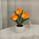 LED Tulip Night Light Flower Table Lamp🌷