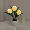 LED Tulip Night Light Flower Table Lamp🌷